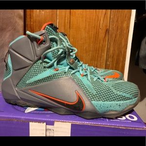 LeBron basketball shoes.